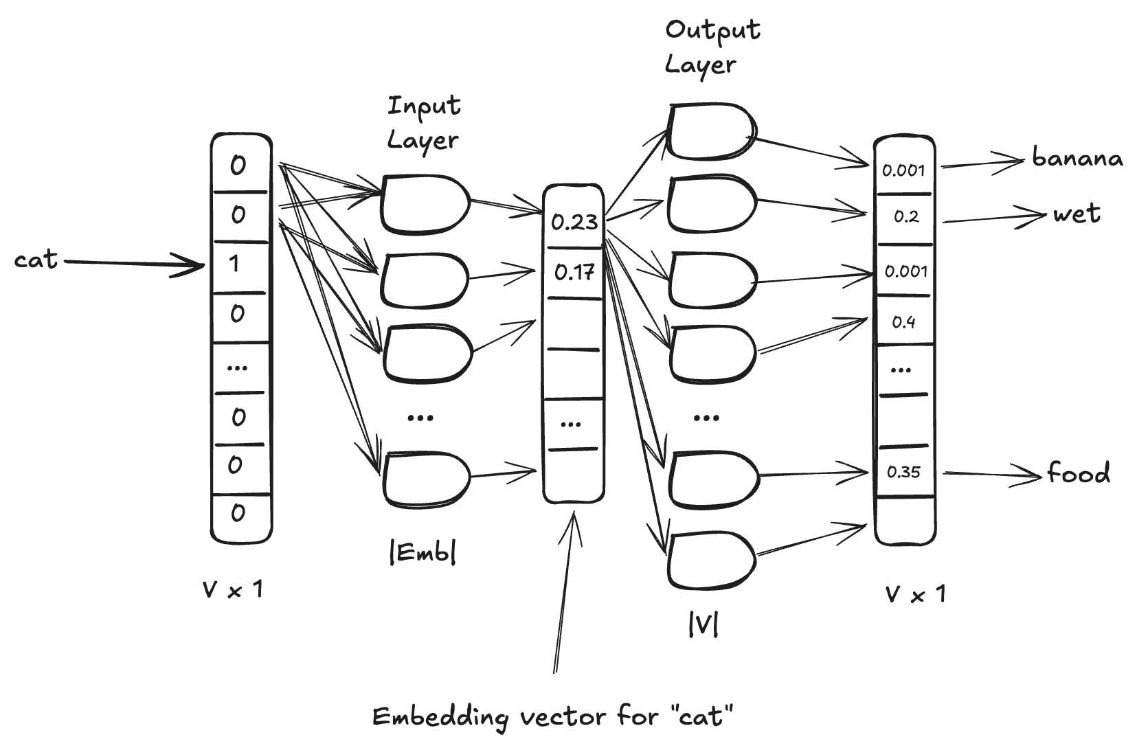 A hand-drawn Word2vec network: the one-hot input vector for "cat" feeds an input layer that narrows to an embedding vector, then an output layer produces probabilities over the vocabulary for words like banana, wet, and food.